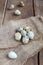 Quail Eggs on sacking and wooden table, rustic style