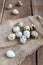 Quail Eggs on sacking and wooden table, rustic style