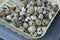 Quail Eggs for Sale