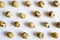 Quail eggs on a white background. a regular pattern