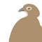 Quail head vector illustration flat style profile