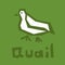 Quail logo design. Vector stylized bird illustration isolated on green background. Cute quail icon. Brutal modern style. White