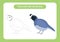 Quail. Trace and color the picture. Educational game for children. Handwriting and drawing practice. Nature theme activity for