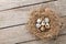 Quails eggs in nest on rustic wooden background