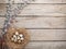 Quails eggs in nest on rustic wooden background