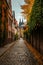 Quaint alley with autumn leaves framing a distant cathedral on a misty morning.