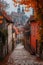 Quaint alley with autumn leaves framing a distant cathedral on a misty morning.