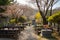 quaint cemetery with blooming gardens and wooden benches, a peaceful place of reflection