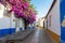 Quaint cobblestone pedestrian street with bright purple bougainvillea in Obidos, Portugal