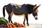 Quaint Encounter: Domestic Donkey Standing Amidst Scattered Carrots and Apples, Ready to Munch