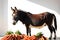 Quaint Encounter: Domestic Donkey Standing Amidst Scattered Carrots and Apples, Ready to Munch