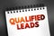Qualified Leads - potential customers in the future, based on certain fixed criteria of your business requirements, text on