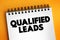 Qualified Leads - potential customers in the future, based on certain fixed criteria of your business requirements, text concept