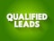 Qualified Leads text quote, concept background