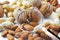 Quality control about dried fruit- HACCP Hazard Analyses and Critical Control Points concept image with peanuts, walnuts and