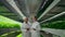 Quality control engineers with tablet computer walking through modern greenhouse, examining and discussing vegetable