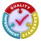 Quality improvement standards. The check mark in the form of a puzzle