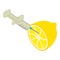 Quality inspection icon isometric vector. Slice of lemon and disposable syringe