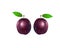 Quality realistic vector plum collection. Purple plums with water drops isolated on white background.