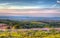 Quantock Hills Somerset view to Hinkley Point Nuclear Power Stationwith bluebell flowers