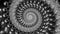 Quantum fractal spiral black and white effect