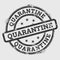 Quarantine rubber stamp isolated on white.