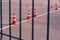 A quarantined coronavirus area for driving instruction. A fence with a grid and a school for training drivers with cones