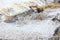 Quarry extraction porcelain claykaolin and quartz sand in the open pit mine. Powerful industrial caterpillar excavator on the si