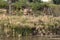 Quarry restoration park with water falls and pond in carmiel, Israel