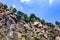 Quarry and vegetation in Morro Santana