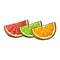 Quarter, piece of orange, grapefruit, lime, hand drawn illustration
