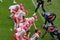 Quarterback for KC Chiefs Patrick Mahomes at Line of Scrimmage Preparing a Play