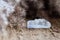 Quartz with Blue Dumortierite Mineral Crystal Gem