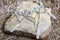 Quartz romantic princess necklace from fairytale on rocky stone background