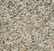 Quartz sand grains