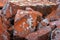 Quartzite sandstone rocks in the Harz mountains, Lower Saxony, Germany.