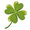 Quatrefoil cartoon icon. Clover leaf with four petals, Saint Patrick day irish holiday symbol. Good luck sign.