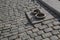 Quay and Cobblestones, Christianshavn, Copenhagen