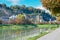 Quay with colorful trees on the shore of river in Salzburg Austria at autumn