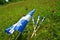 Quebec Flags. National Day Celebration Patriot Saint Jean Baptist. Cultural Holiday, June 24th, Province in Canada.