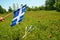 Quebec Flags. National Day Celebration Saint Jean Baptist. Holiday, June 24th, Province in Canada.