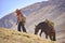 A Quechua man and his horse follow a trail through the Andes. Ausangate, Cusco, Peru