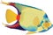 Queen Angelfish Swimming Illustration
