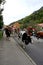 Queen Cows Lead a Parade in Switzerland