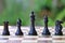 Queen, king, bishop, horse and castle - black chess pieces on a wooden board
