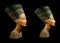Queen Nefertiti Isolated on Black