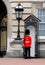 Queen\'s Guard, Buckingham Palace, London