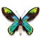 The Queen Victoria`s birdwing butterfly illustration with iridescent green turquoise wings