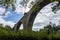 Queen Victoria Viaduct in Sunderland, UK