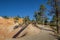 Queens garden trail in Bryce Canyon National Park